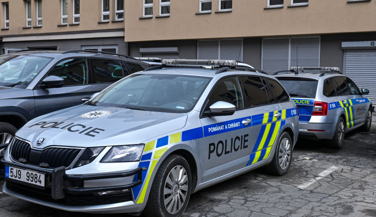 Ženy se popraly kvůli sražení psa a krádeži dřeva. Policie hledá svědky napadení