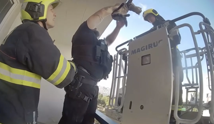 Na záchraně spolupracovali strážníci a hasiči.