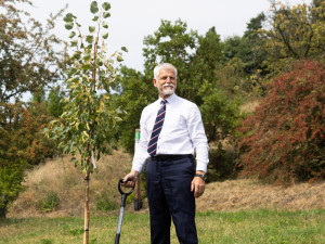 Prezident Pavel vysadil botanické zahradě lípu. Stromy tu mají i Havel a Čaputová