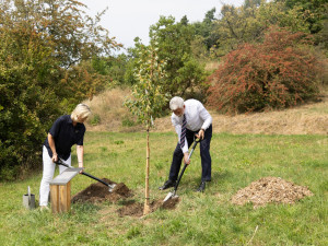 Prezident Pavel vysadil botanické zahradě lípu. Stromy tu mají i Havel a Čaputová