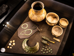 Národní muzeum jako první v Evropě vystavilo 3 miliony let staré fosilie člověka