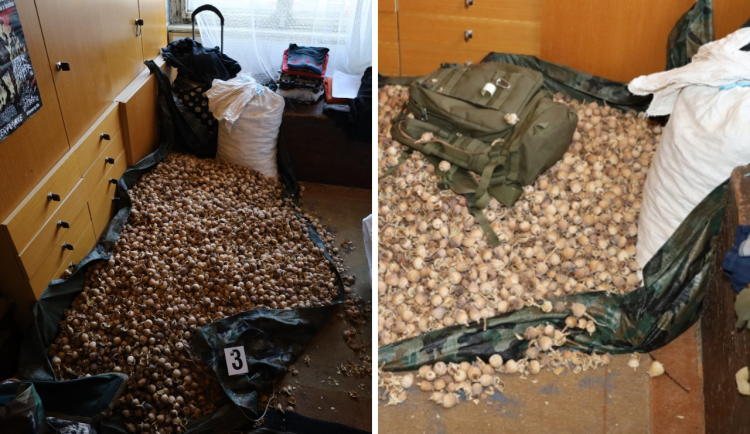 Doma měla trojice skoro sto kilo makoviny.