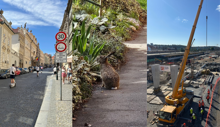 Boj proti koloběžkám, život zajíců v Praze a prohlídka nádraží Smíchov