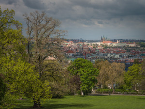Praha 2 chce v Riegrových sadech postavit sportovní halu i nové hřiště