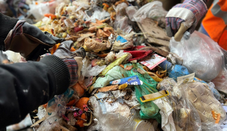 Kde se v Praze nejvíc plýtvá jídlem? Výzkum odhalil například domácnosti nebo školy