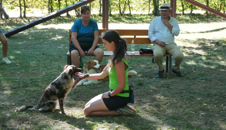V Litovli mají nové psí hřiště. Mazlíčci mohou využít i pisoáry