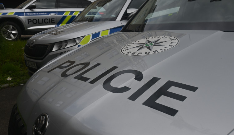 Policie od Vánoc pátrá po čtrnáctileté dívce, která se nevrátila z vycházky