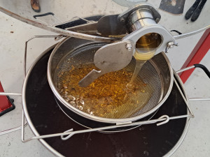 Pražský dopravní podnik zdvojnásobil produkci medu z městských včelstev ve Vokovicích