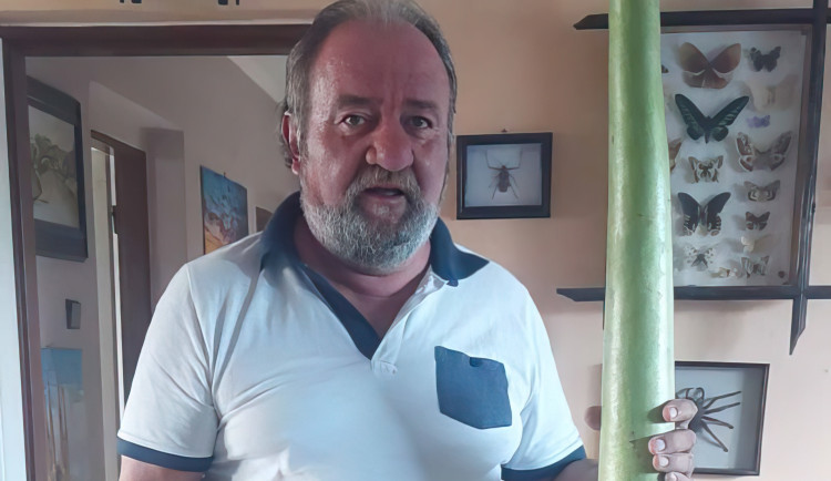 Senior se ztratil při výletě na skálu.