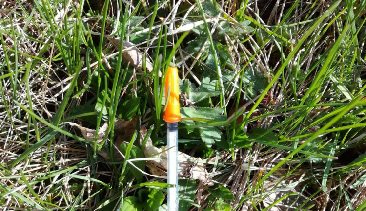 O víkendu se koná World Cleanup Day. Co dělat, když najdete injekční stříkačku?