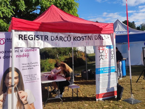 Do registrů dárců dřeně letos přibylo přes 31 tisíc lidí, loni přibližně 13 tisíc