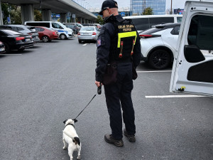 Celníkům pomáhají i psi.