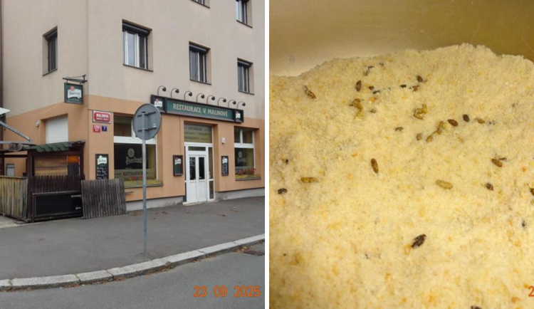 Sklad restaurace v Praze zamořily myši.