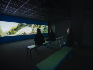 Ve Staroměstské tržnici je nově galerie digitálního umění, má i díla Signal Festivalu