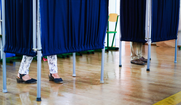 Strážníci v Brně se chystají na volební víkend, v minulosti třeba plašili holuba