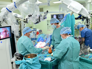 Dávali mu pár týdnů. Devět let po léčbě mozkového nádoru hraje houslista František Černý dál