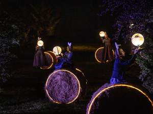 Rozum a cit, soubor činohry Jihočeského divadla.