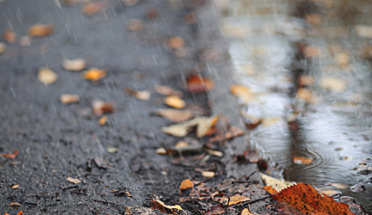 Počasí bude tento týden jako na houpačce. Čeká nás slunce i déšť