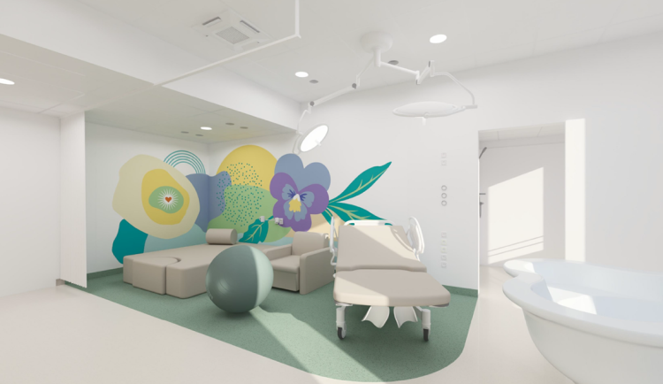 Nová porodnice za dvě miliardy. FN Olomouc hledá firmu pro klíčovou investici