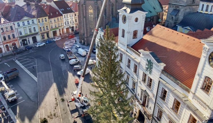 Hradec už má vybrané vánoční stromy. Radnice však zatím tají, odkud budou