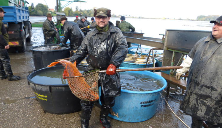 TIP NA VÍKEND: Tovačov ovládne tradiční výlov Hradeckého rybníka. Zábava pro děti i dospělé