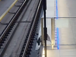 VIDEO: Na půlce metra linky A je zastaven provoz, do tunelu vběhl pes