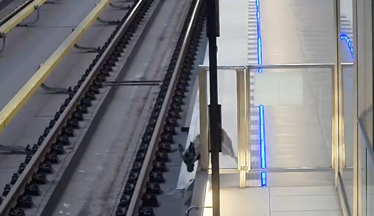 VIDEO: Na půlce metra linky A je zastaven provoz, do tunelu vběhl pes