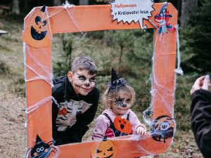 Zažijte kouzelný Halloween a barevný podzim v Království lesa na Lipně