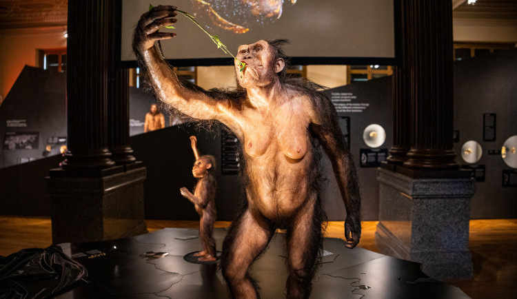 Výstava dnes končí.