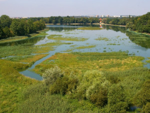 Silničáři rozšíří Pražský okruh nad Počernickým rybníkem na šest pruhů