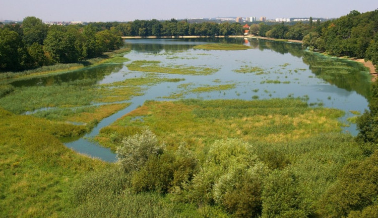 06-08-pocernicky-r.-05