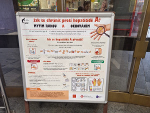 V Praze letos na žloutenku A zemřelo 11 lidí, nakažených bylo 939