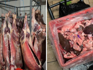 Pražské řeznictví prodávalo maso neznámého původu. Hrozí mu padesátimilionová pokuta