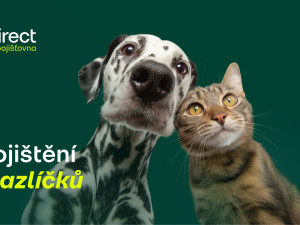 Pes spadl z gauče. Účet od veterináře vás překvapí