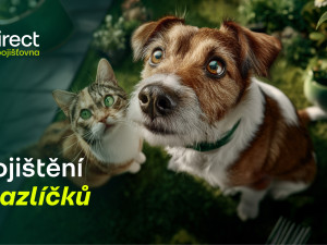 Pes spadl z gauče. Účet od veterináře vás překvapí