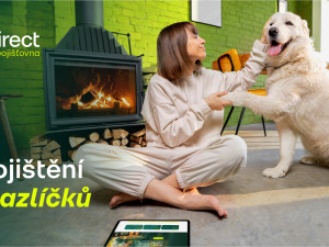 Pes spadl z gauče. Účet od veterináře vás překvapí