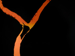 FOTO: Barevný podzim v pražské zoo