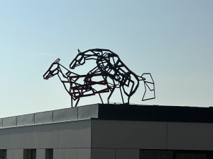 FOTO: Socha Šemíka v říji budí v Podolí vášně. Na střeše domu ale dlouho nezůstane