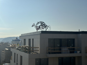 FOTO: Socha Šemíka v říji budí v Podolí vášně. Na střeše domu ale dlouho nezůstane