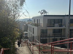 FOTO: Socha Šemíka v říji budí v Podolí vášně. Na střeše domu ale dlouho nezůstane