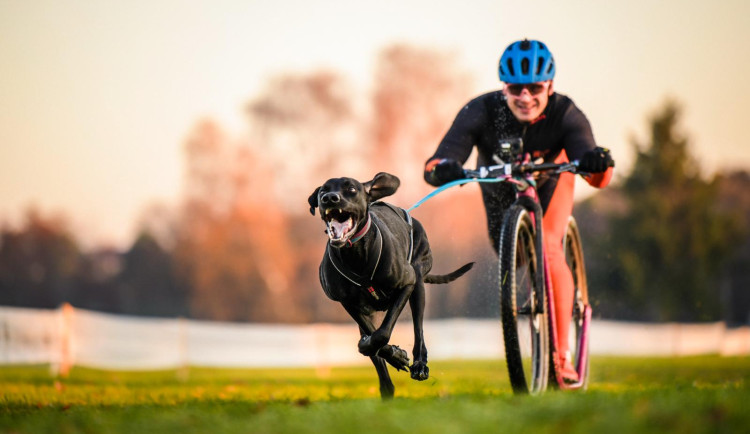 Hasič – kynolog bral zlatou na mistrovství světa v mushingu. I přes chřipku a horečku
