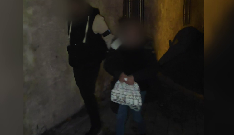 Zlodějku policie zadržela doma. 