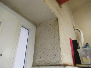 Špína a plíseň. Restauraci u smíchovského nádraží kvůli obavě o zdraví zavřeli