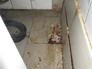 Špína a plíseň. Restauraci u smíchovského nádraží kvůli obavě o zdraví zavřeli