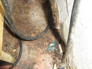 Špína a plíseň. Restauraci u smíchovského nádraží kvůli obavě o zdraví zavřeli