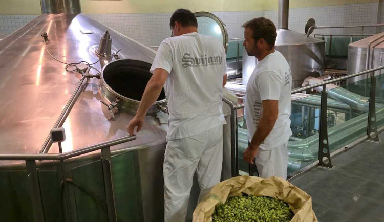 Sváteční Bidlovka vrátila do hry historické chmelové odrůdy