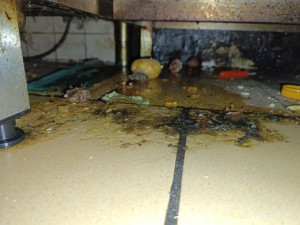 Břevnovský hostinec zavřeli kvůli špíně a plísni, majitel se musel pustit do úklidu