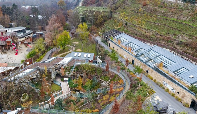 Do konkurzu na ředitele pražské zoo se hlásí 33 kandidátů, komise je posoudí v lednu