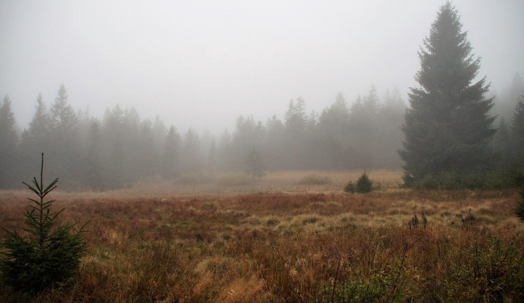 Tento týden čeká Olomoucký kraj zatažená obloha a časté mlhy. Na severu může být jasno