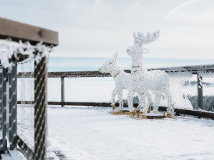 Rodinný areál Lipno rozšiřuje provoz a chystá velkolepý zimní víkend.